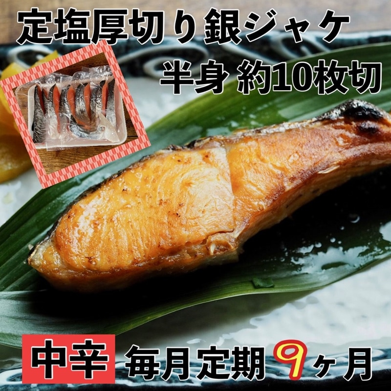 【ふるさと納税】 【中辛】【毎月9ヶ月 定期便】厚切り銀鮭 半身1枚 約10枚切【鮭 塩鮭 サケ 焼き魚 魚 おつまみ 惣菜 海鮮 珍味 お取り寄せ 御中元 お中元 お歳暮 父の日 母の日 贈り物 日本酒 焼酎】【神奈川県小田原市早川】