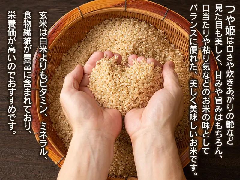 数量限定 【令和7年産】 山形県庄内産 小池半左衛門のお米 特別栽培米 つや姫 玄米 5kg (5kg×1袋)　