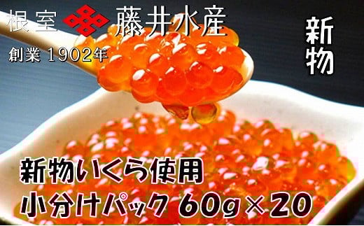 
            D-42055 【北海道根室産】＜鮭匠ふじい＞いくら醤油漬60g×20P
          