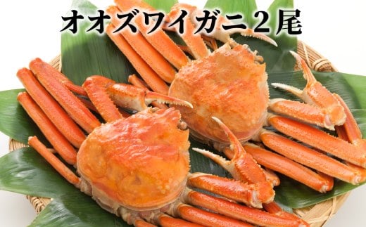 
            9-8 北海道産　ボイルオオズワイガニ姿　２尾
          