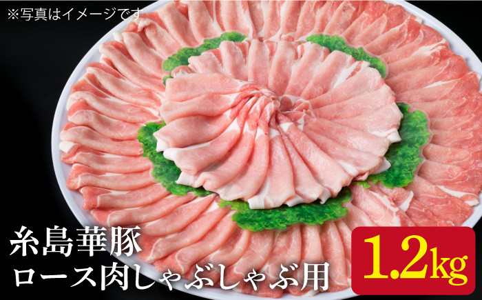 
【 しゃぶしゃぶ 】糸島華豚 豚 ロース スライス 1.2kg 糸島 / 糸島ミートデリ工房 [ACA092] 豚肉 豚ロース ロース
