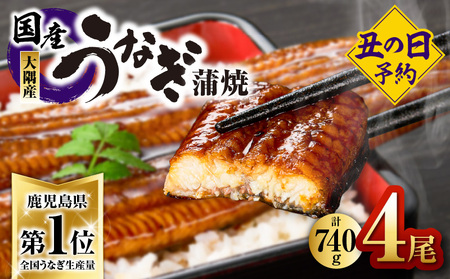 2870 【先行予約】【数量限定】鹿児島県大隅産うなぎ蒲焼4尾（740g） KN007-004-02 数量限定 鹿屋市県大隅産うなぎ蒲  大隅地区養まん漁業協同組合 ふるさと納税 鹿児島 鹿屋市 おすすめ ランキング プレゼント ギフト