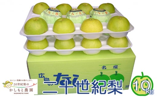 [№5895-0521]●先行予約●安芸高田市【かしもと農園】二十世紀梨 10kg