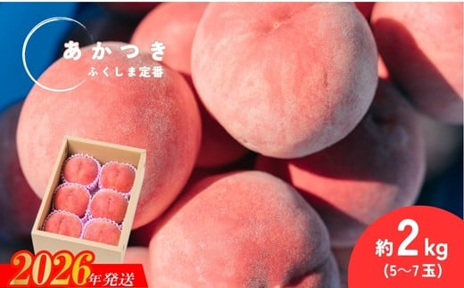 
            No.2989 福島定番 福島県福島市産もも「あかつき」約2kg(5～7玉)【2026年発送 先行予約】
          