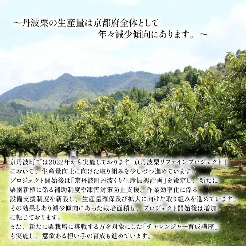 【返礼品なし】 京丹波栗 応援寄附金 500000円