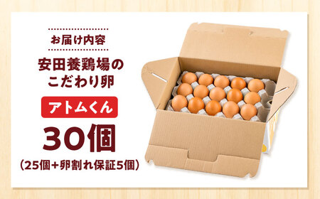 安田養鶏場のたまご アトムくん 30個入 AKHN002 たまご