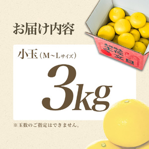 【日本ギフト大賞2024受賞】先行予約 園主こだわりの土佐文旦3キロ 小玉（L - Mサイズ） 2026年1月下旬より順次発送 ぶんたん ブンタン 柑橘 みかん フルーツ 果物 お取り寄せ 土佐 高知