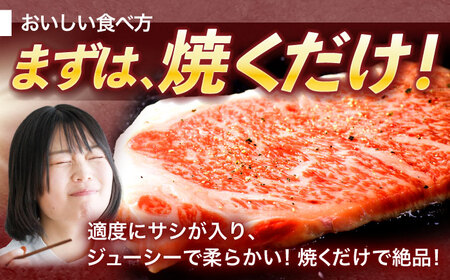 【6回定期便】長崎和牛サーロインステーキ 約400g(200g×2枚)【株式会社 黒牛】[OCE035]