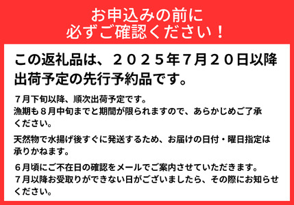 【2024年先行予約】親不知産 天然岩牡蠣(生食用) 大サイズ4個以上 2024年7月20日以降順次発送 鮮度抜群！ 水揚げ直後に発送 日本海 かき カキ 岩ガキ 親不知産 糸魚川 親不知おさかなセン