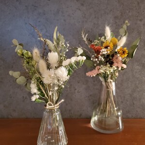 6か月 定期便 デザイン おまかせ ドライフラワー | お花 長さ約18㎝～約20㎝ 10本～ リトルシード