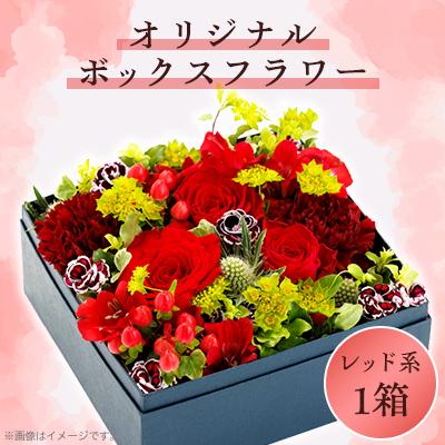 ふるさと納税 八雲町 〈レッド系〉オリジナルボックスフラワー