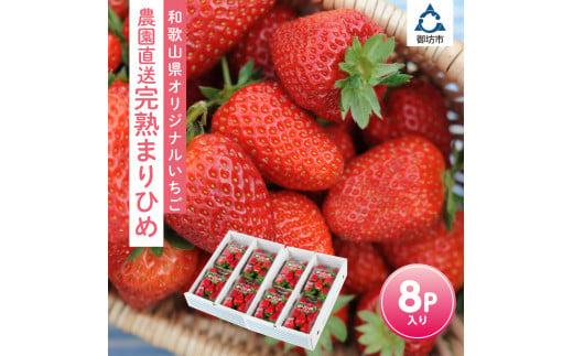 和歌山オリジナルいちご「完熟まりひめ」たっぷり8パック《先行予約》2025年3月下旬から順次発送【配送不可地域：北海道・青森・秋田・岩手・沖縄】