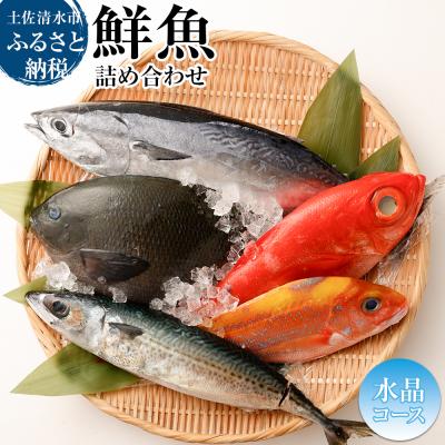 ふるさと納税 土佐清水市 おまかせ!季節の鮮魚 お楽しみセット(2万円水晶コース)食べ比べ 天然魚 魚介 海鮮【R01215】