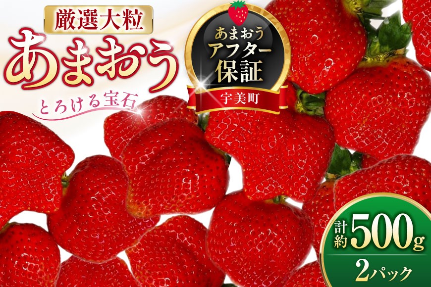 
            いちご 厳選大粒 あまおう 約250g〜270g 2パック 計約 500g [THE FARM_strawberry 福岡県 宇美町 um40azo780013] あまおう苺 イチゴ フルーツ 果物 くだもの 甘い
          