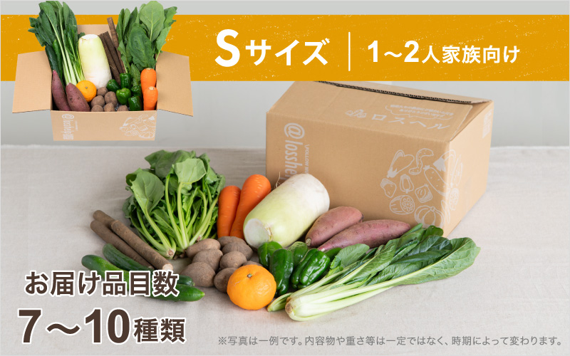 ＜ロスヘル＞多数のメディアで紹介されました！【訳あり】旬のもったいないお野菜詰め合わせセット　Sサイズ Sサイズ