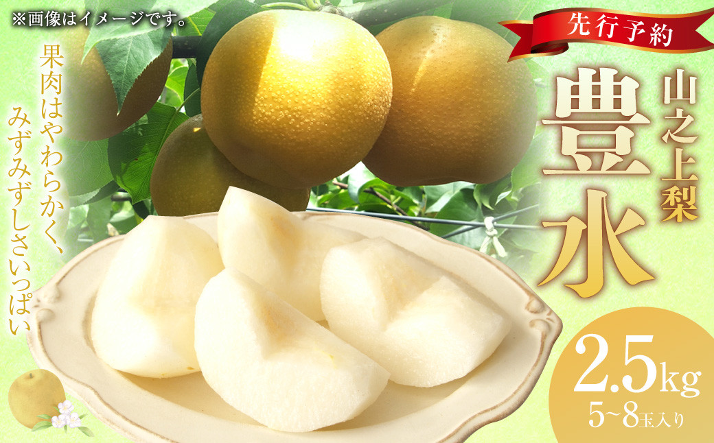 
            《先行予約》｢丸坂山田農園｣ 山之上梨 豊水 1箱 （ 約2.5kg ／ 5～8玉 ） 【2026年8月下旬～9月下旬 発送予定】 │ 梨 ナシ なし くだもの 果物 果実 フルーツ 冷蔵 岐阜県産 国産
          