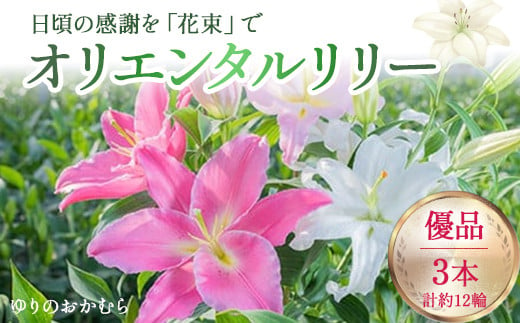 
            日頃の感謝を「花束」で、オリエンタルリリー【優品3本】Osy-A13 誕生日 植物 フラワー プレゼント 花束 ゆり リリー お花
          