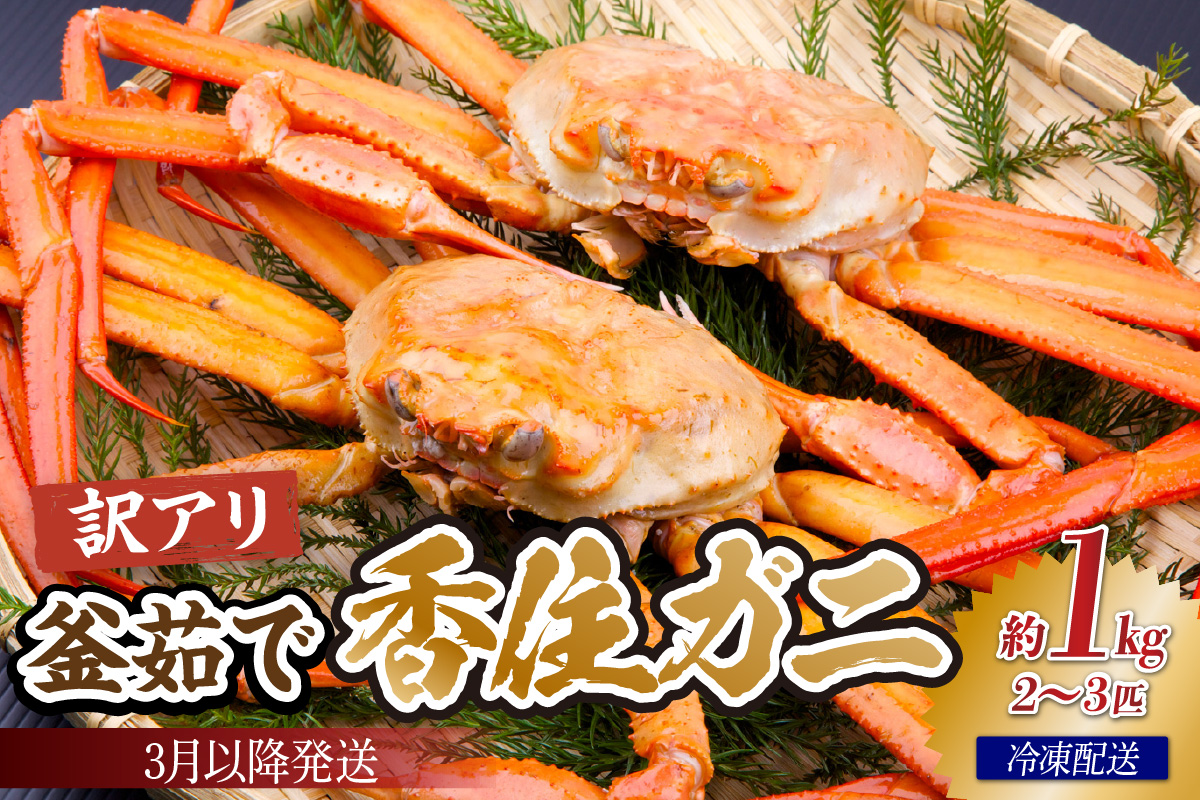 【訳あり茹で香住ガニ 約1kg（2～3匹）（冷凍）】香住港 香住ガニ かに カニ 紅ズワイガニ 紅ずわいがに 紅 新鮮 国産 訳あり 兵庫県 香美町 香住 日本海 宿院商店 33-43