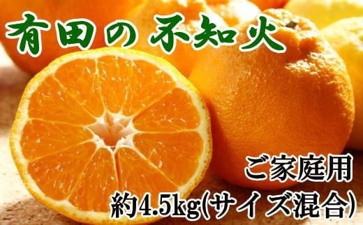 
                  【先行予約】【濃厚】有田の不知火約4.5kgご家庭用向け（サイズ混合）※2027年2月下旬～2026年3月下旬頃発送予定 / みかん 有田みかん 柑橘 不知火 和歌山 ミカン オレンジ【tec989】 
                
