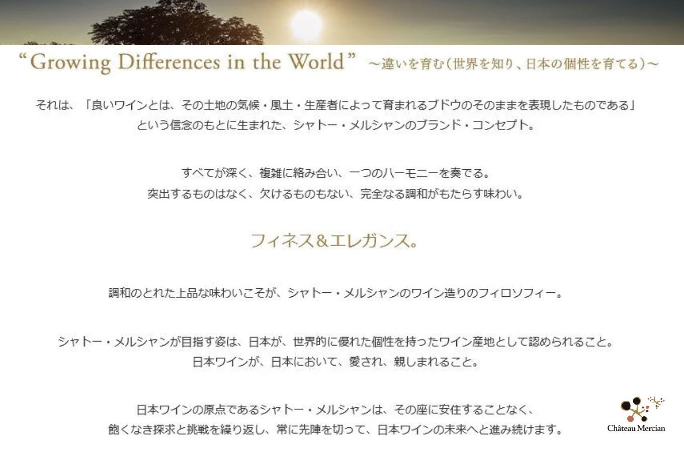 ワイン 白ワイン 山梨 750ml 「三珠甲州　バレル・ファーメンテッド」 シャトー・メルシャン [5839-2264]