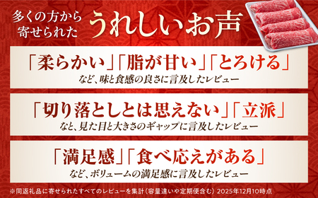佐賀産和牛 牛肉切り落とし 750g / 牛肉切り落とし [IAG208]