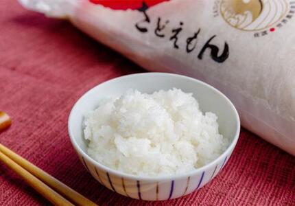 自社栽培米佐渡産こしひかり(精米10kg)9カ月定期便