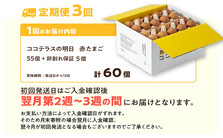 【3ヵ月定期便】ココテラスの明日（赤たまご）55個 + 5個保証（計60個）【JGAP認証】