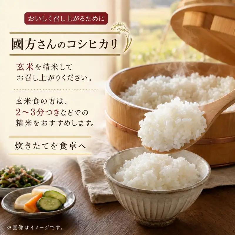 令和8年新米　 國方さんの「コシヒカリ」10kg（玄米）米 玄米 コシヒカリ