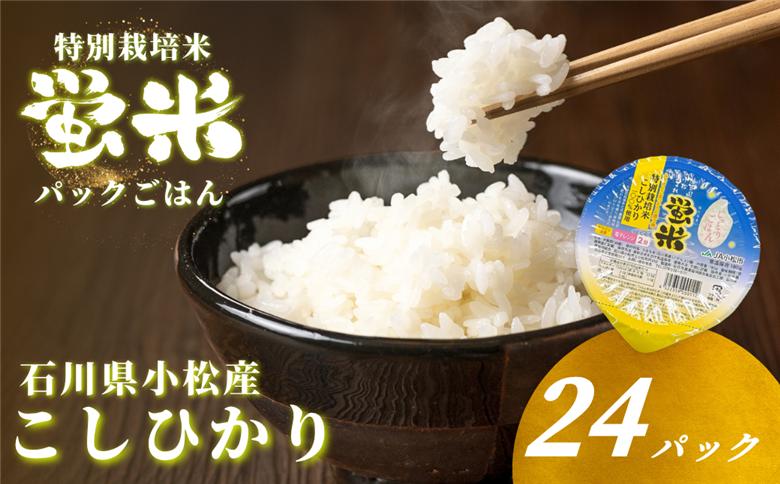 蛍米 パックごはん 24個 レトルト 保存食 ｜ 石川県 小松市 JA小松市
