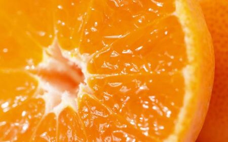 JAにしうわ みつる共選 「蜜る」4kg（2S～2L）※離島への配送不可（2025年11月中旬より順次発送予定）【 柑橘 ミカン みかん 蜜る 生果 】 IKTBC004
