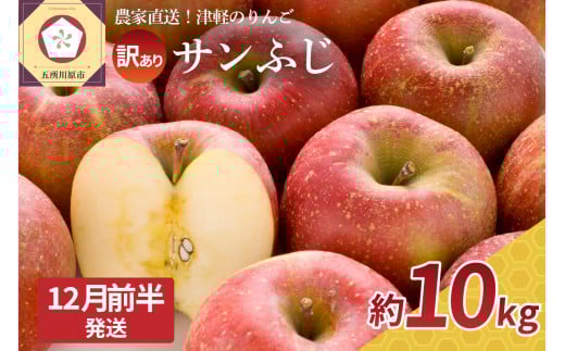 【2025年12月前半発送】  訳あり  りんご サンふじ 約 10kg 青森  果物  【 訳アリ リンゴ 林檎 ふじ さんふじ 】