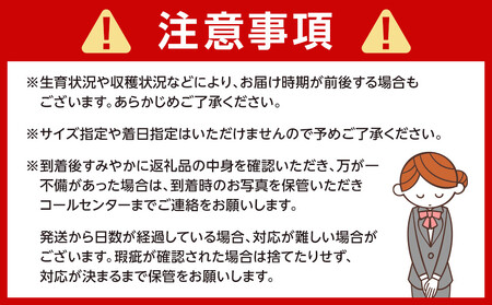 ［先行予約］ご家庭用 はっさく約4kg 大小サイズ 混合