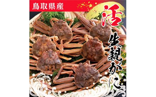 鳥取県産 生親がに【中村商店】 312011_AC001