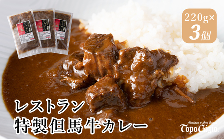 J7　レストラン 特製 但馬牛 カレー 【 黒毛和牛 牛肉 ビーフカレー スパイス 冷凍 】