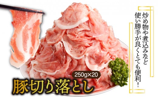 ＜2025年11月発送分＞宮崎県産 豚肉切り落とし 250g×20パック 合計5kg