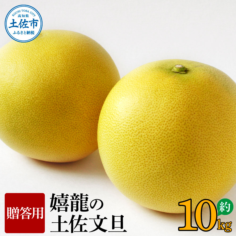 ＜2026年1月下旬より順次発送＞嬉龍の土佐文旦　贈答用　2～3Ｌサイズ　約10kg　減農薬 みかん 柑橘 フルーツ 1月～3月発送 文旦 ぶんたん ブンタン 果物 お取り寄せ おいしい 美味しい ギフト 贈り物 故郷納税 返礼品 高知県 高知