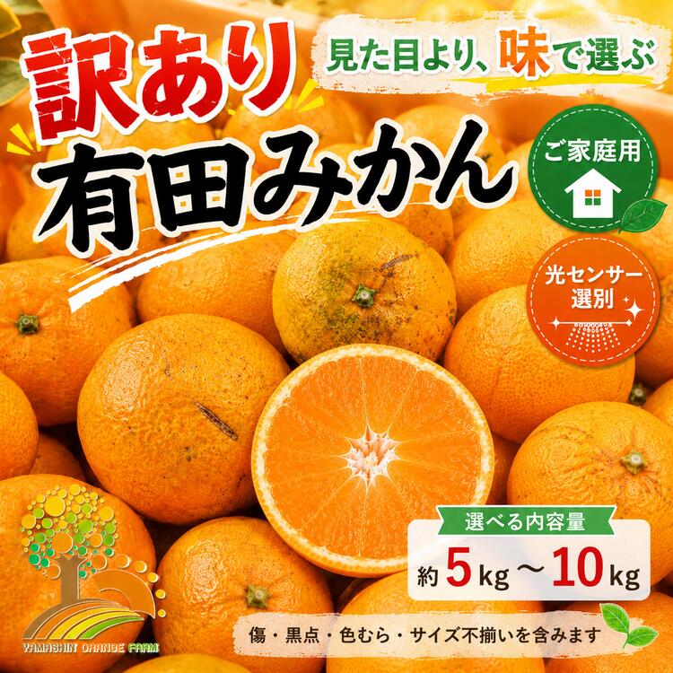 【ふるさと納税】【先行受付】【訳あり】有田みかん 選べる内容量 ｜ 農家直送 訳あり ご家庭用 サイズ混合 光センサー選別 温州みかん みかん 訳あり わけあり 家庭用