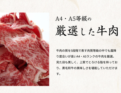 熊野牛 A4以上 霜降り 赤身 こま切れ 500g 【入金後30日以内に発送予定】【Z91053-uot747】