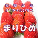 【ふるさと納税】和歌山県オリジナルいちご「まりひめ」【配送不可地域：北海道・青森・秋田・岩手・沖縄】 いちご 苺 イチゴ フルーツ くだもの 果物 旬 パック 送料無料 ふるさと納税 いちご