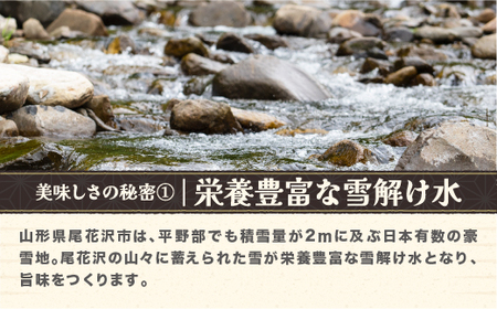 令和7年産 新米 無洗米 ひとめぼれ 15kg 5kg×3袋 配送時期選べる 1月上旬~3月下旬発送 2025年産 米 お米 国産 山形県 尾花沢市 ko-himxa15