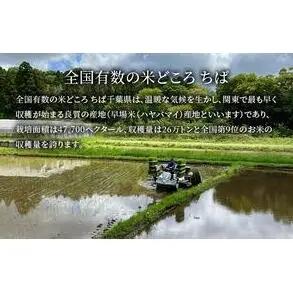 コシヒカリ 白米 令和7年 千葉県産 コシヒカリ【27kg】