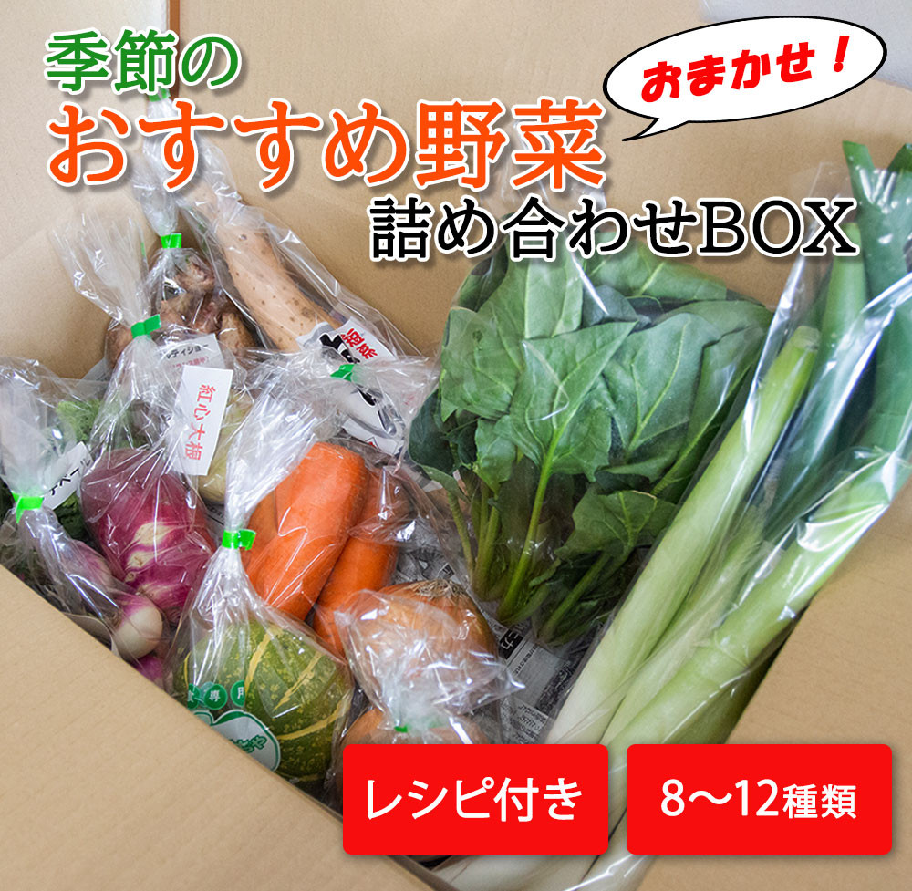 
季節のおすすめ野菜おまかせ詰め合わせBOX 8種〜12種類 通常サイズ 野菜セット 15000円【16101】
