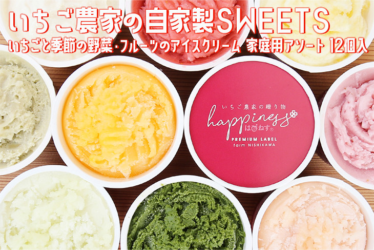 
いちご農家の自家製SWEETS いちごと季節の野菜・フルーツのアイスクリーム 家庭用アソート 12個入〇
