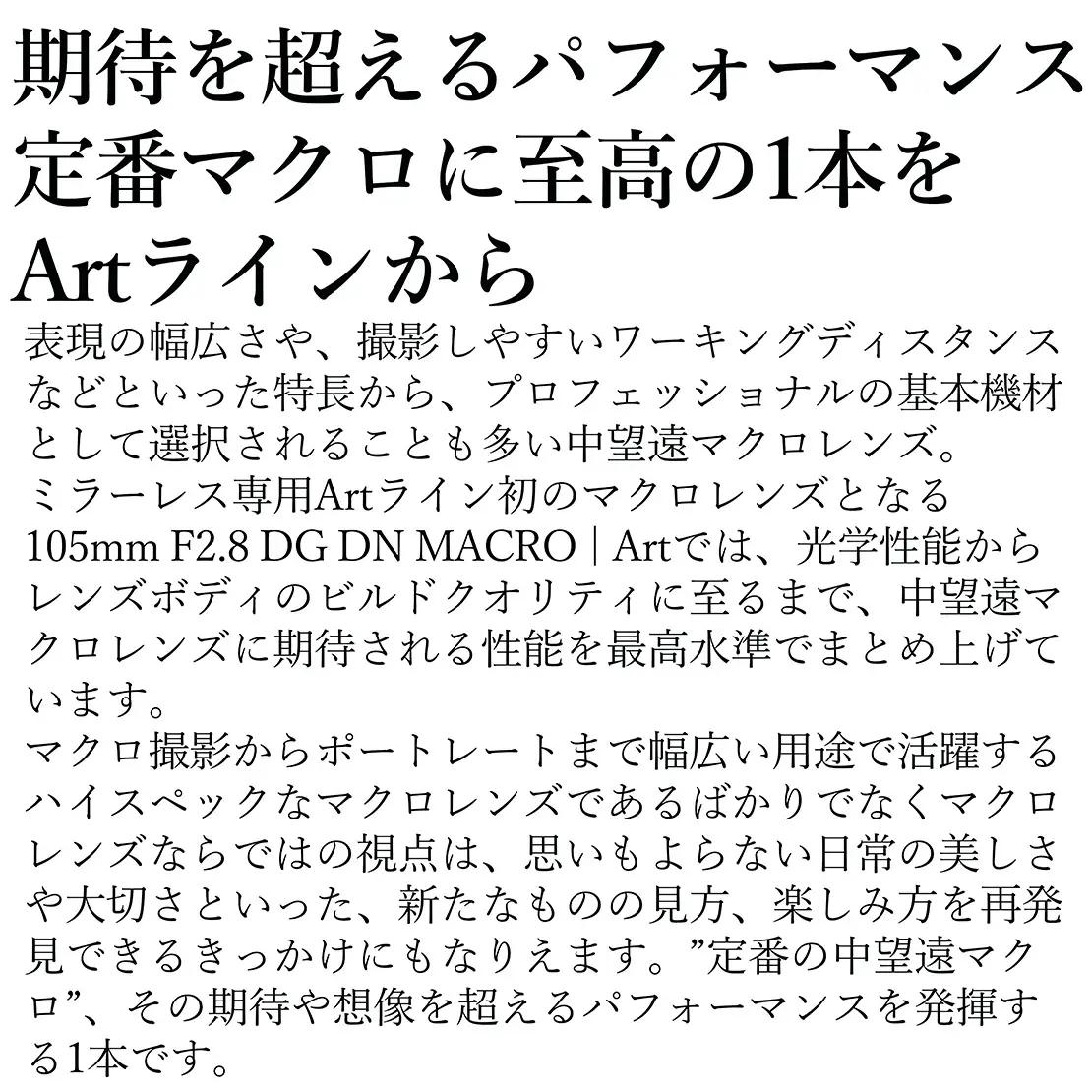 SIGMA 105mm F2.8 DG DN MACRO｜Art【ソニーEマウント】カメラ　レンズ　家電