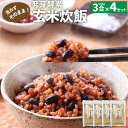 【ふるさと納税】洗わずそのまま 発芽酵素 玄米炊飯 セット 3合 (450g) ×4セット 玄米 酵素玄米 うるち米 熟成 残留農薬ゼロ 国産 大分県 九重町 送料無料 【2024年9月下旬より発送開始予定】