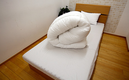 No.499 SNフレッシュプロ　掛けふとん　ダブル