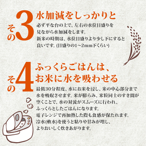 京都山城産ヒノヒカリ5kg 令和7年産　【米】