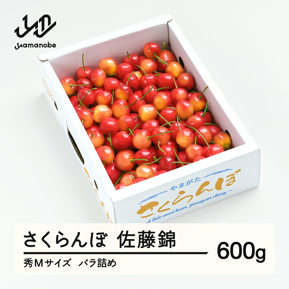 【ふるさと納税】【先行予約】さくらんぼ 佐藤錦 6月上旬〜下旬発送 秀Mサイズ バラ詰め 600g(600g×1箱) 2027年産 山形県産 送料無料 サクランボ ns-snsmb600