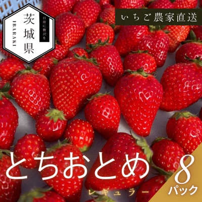 
                  ＜2026年1月より順次発送予定＞風早いちご園 とちおとめ レギュラー 250g×8パック【1647794】
                