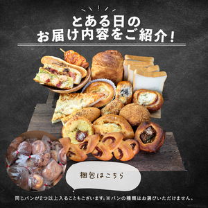 おまかせ 冷凍パン20個の詰め合わせ 訳ありパンセット
